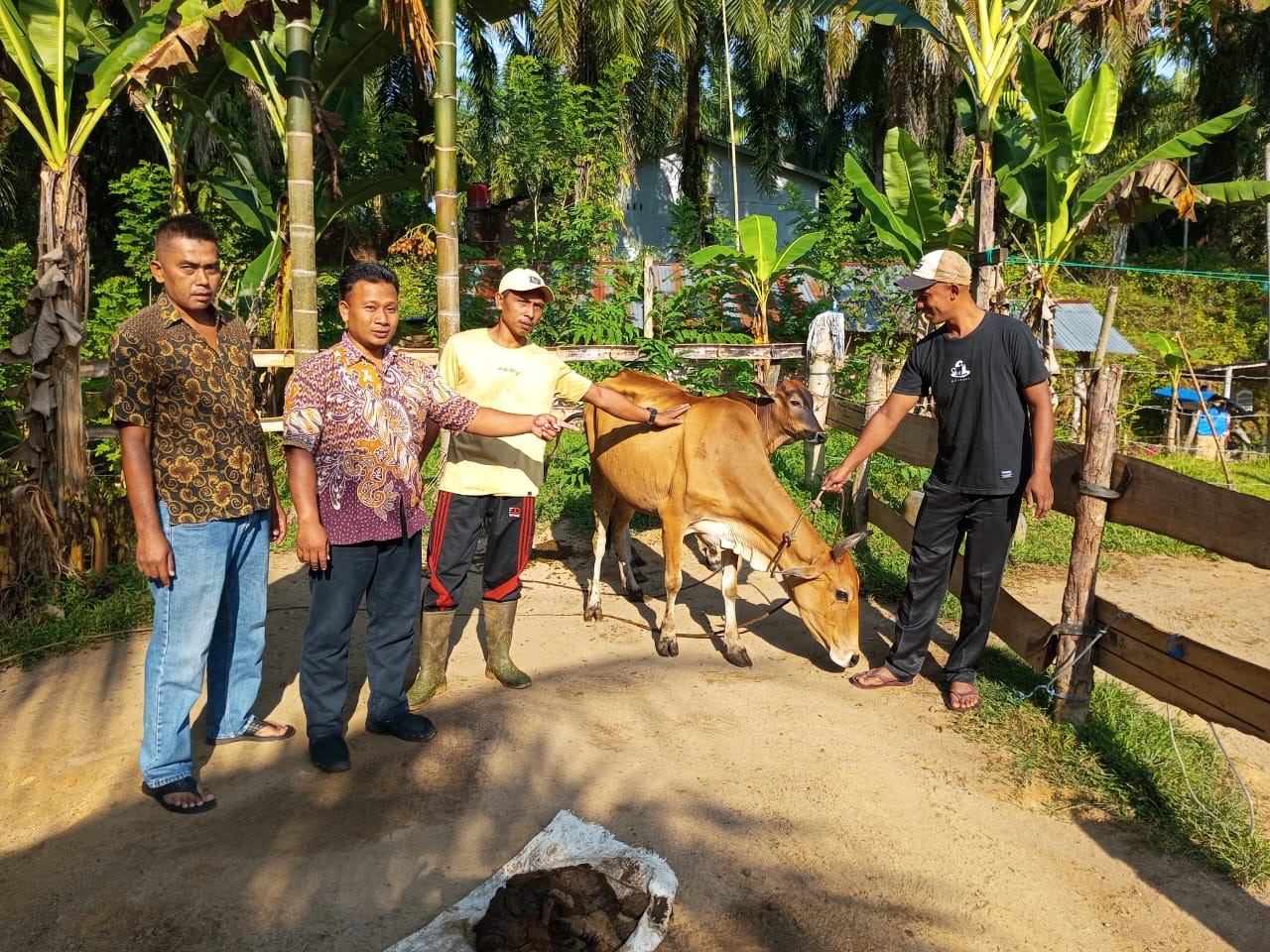 Penyerahan bantuan lembu ketapang tahun anggaran 2023 Penyerahan bantuan lembu ketapang tahun anggaran 2023